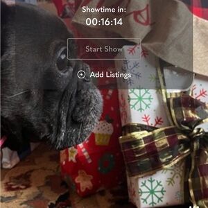 Festive Gift Boxes with Ribbon